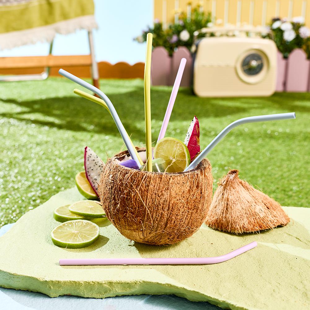 HAYDAE COLLECTIVE Set of 6 Reusable Straws