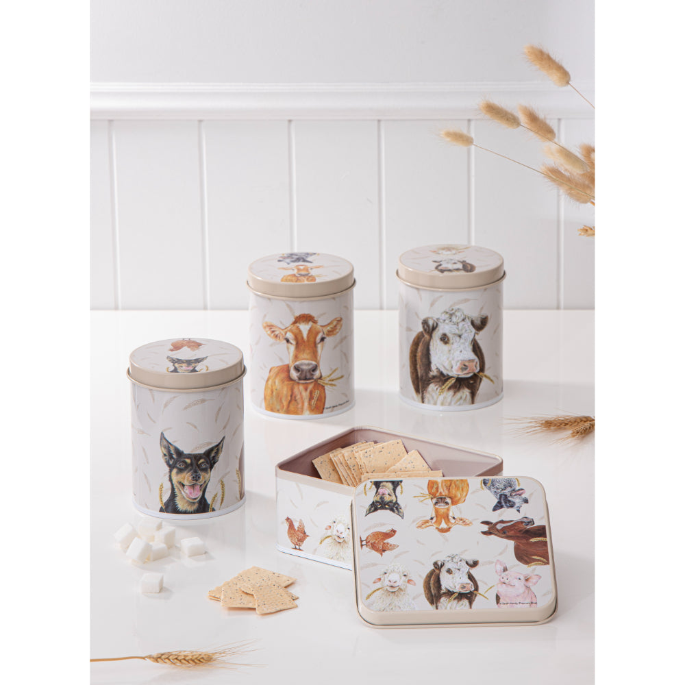 Ashdene Farmyard Faces Biscuit Tin