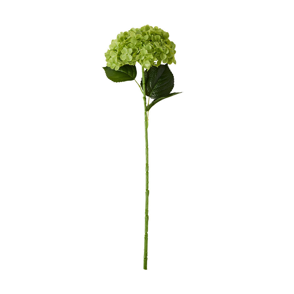 MyHouse Green Hydrangea 69cm