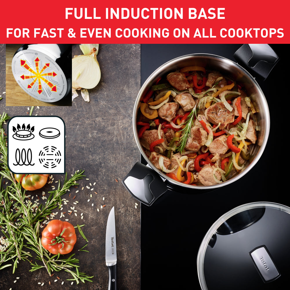 Tefal Emotion Induction Stainless Steel Stock Pot 6.2L