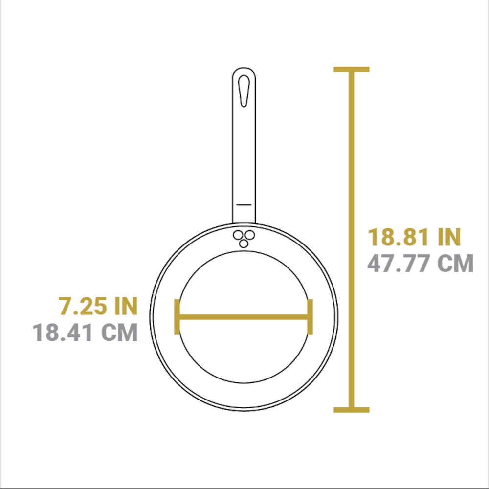 Lodge 10 Inch Seasoned Carbon Steel Skillet