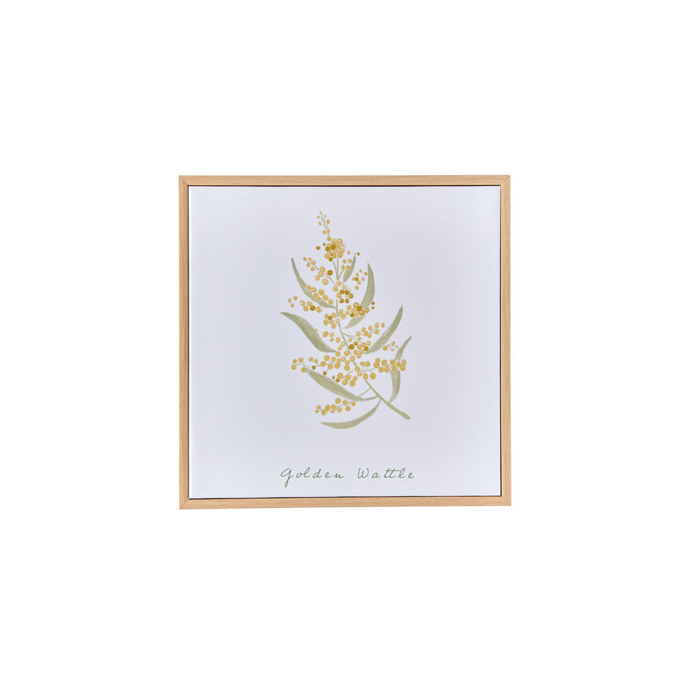 MyHouse Mimi Wall Art Wattle 30x30cm