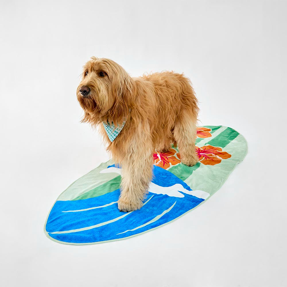 MyHouse Surfboard Beach Towel