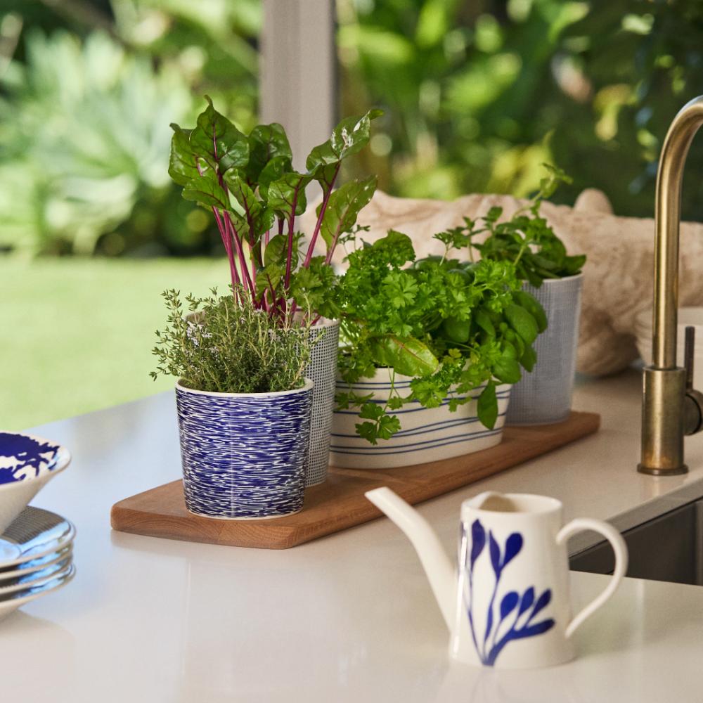 Royal Doulton Pacific Trough Herb Planter