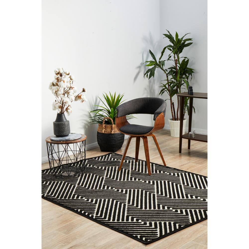 black and cream chevron rug in sitting area with plants - House