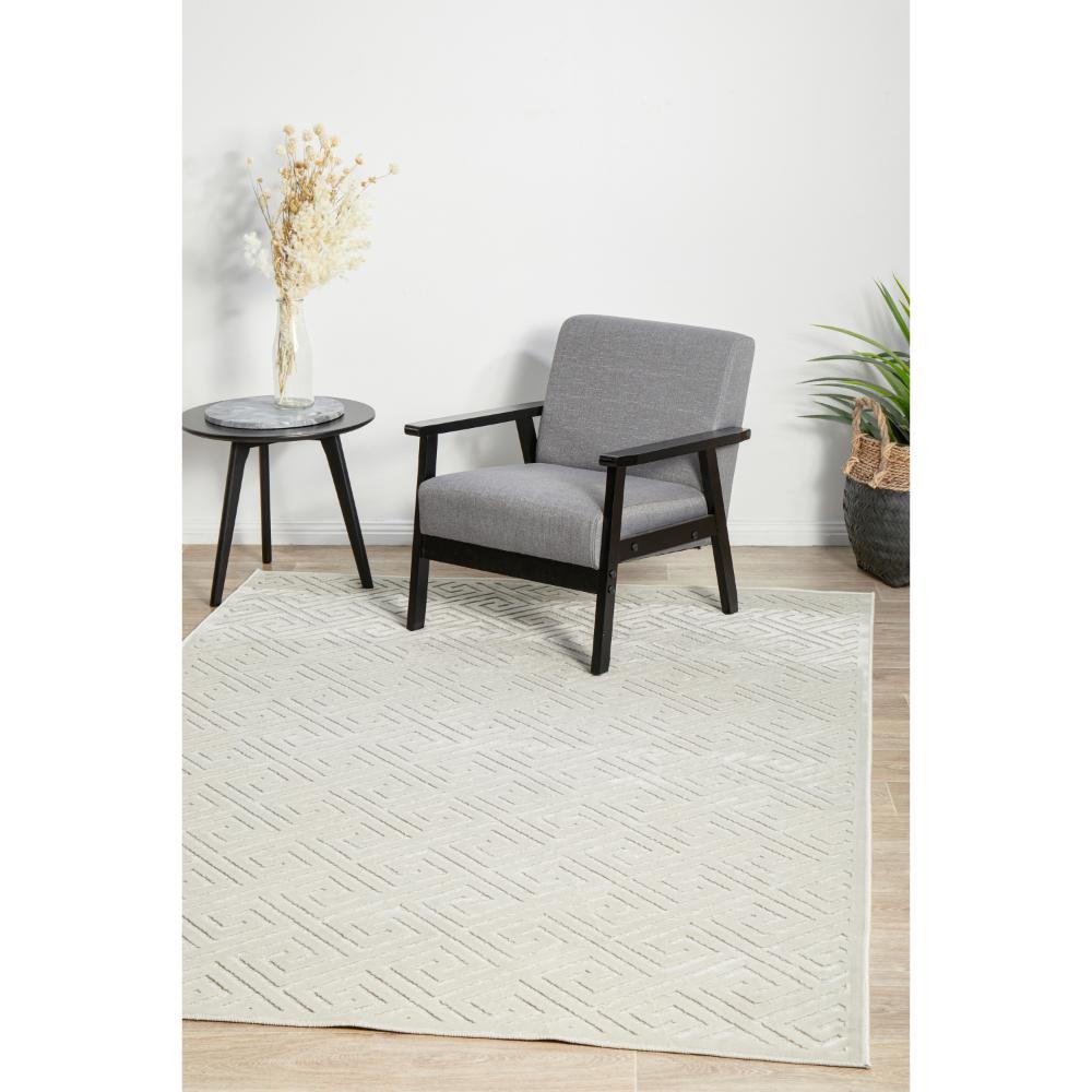 beige geometric swirl rug in a sitting room with plants - House