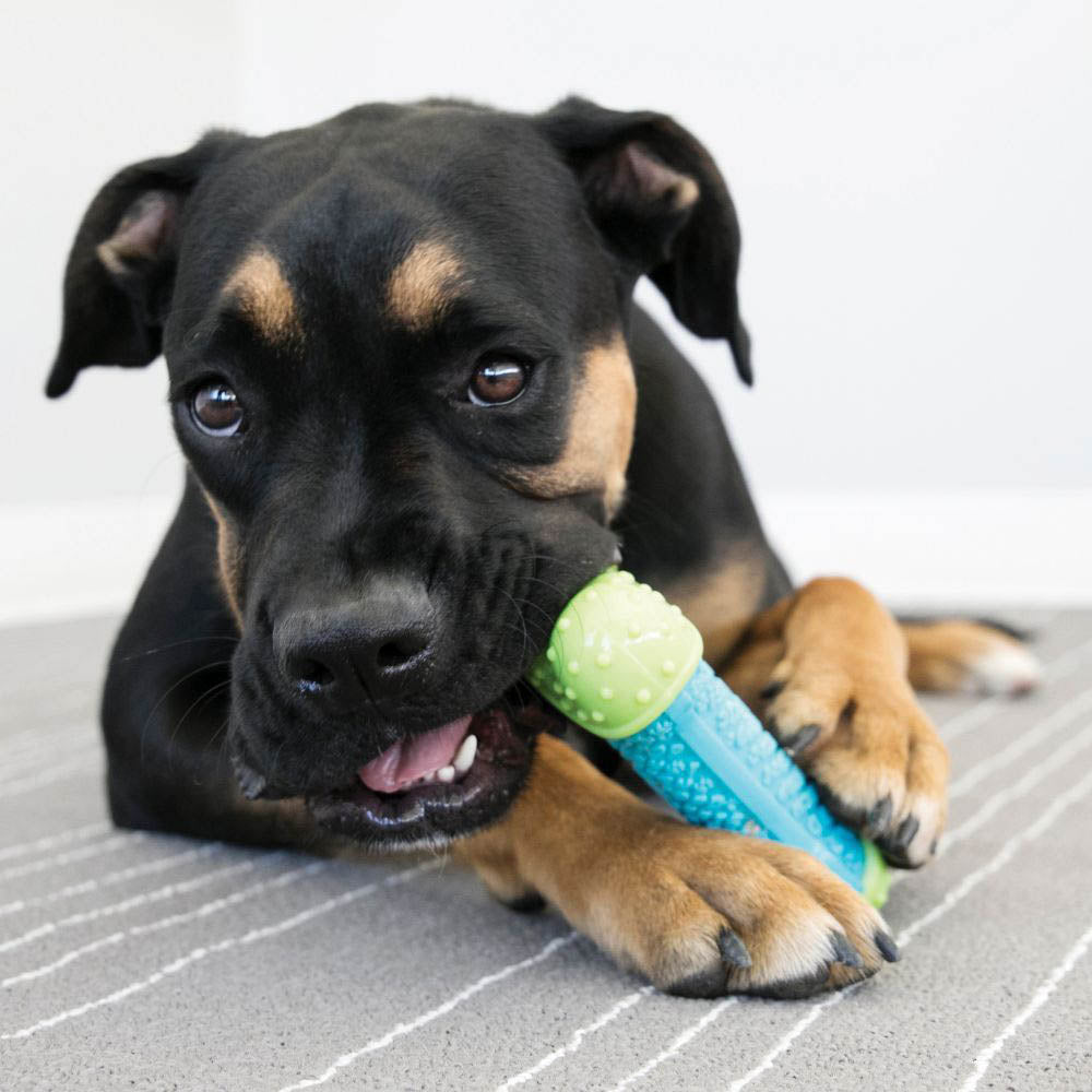 KONG CoreStrength Bone Dog Toy