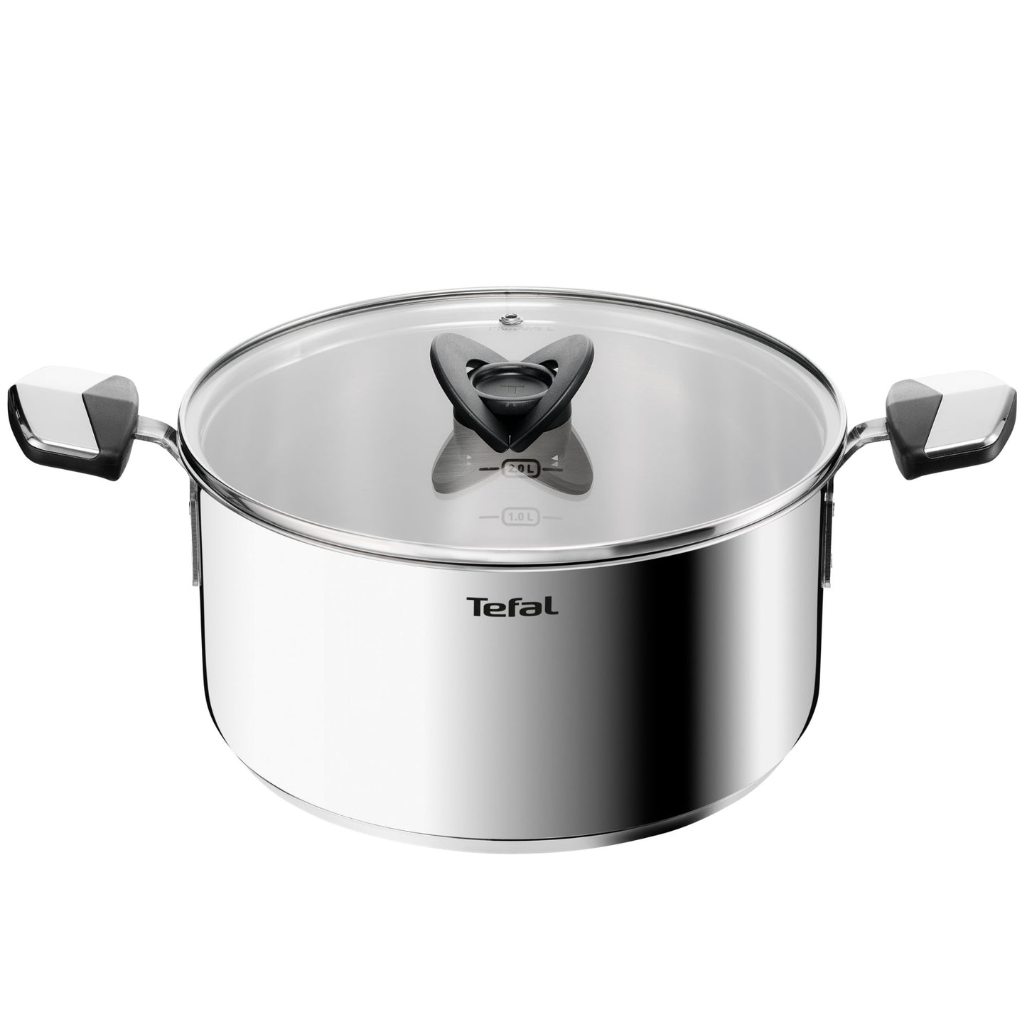 Tefal Emotion+ Induction Stainless Steel Stewpot 24cm & Lid