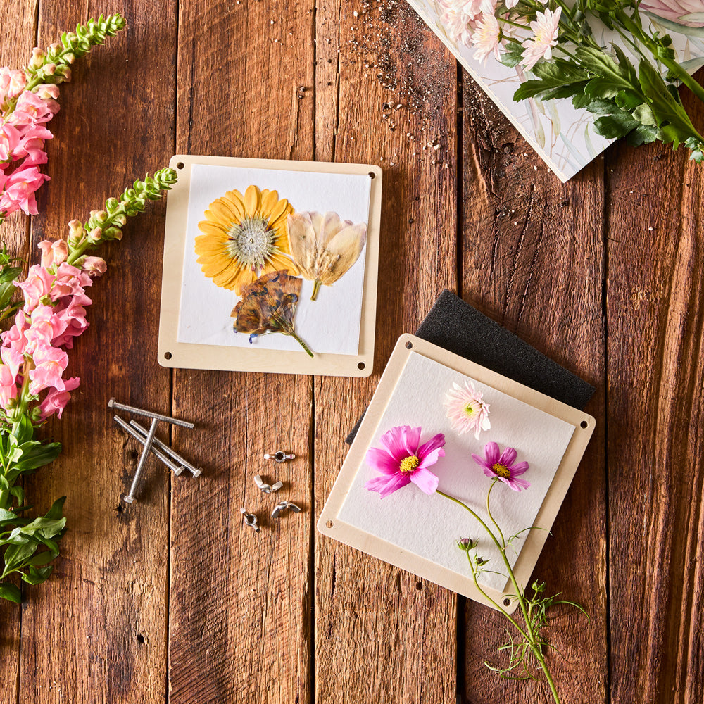 MyHouse Calypso Flower Press