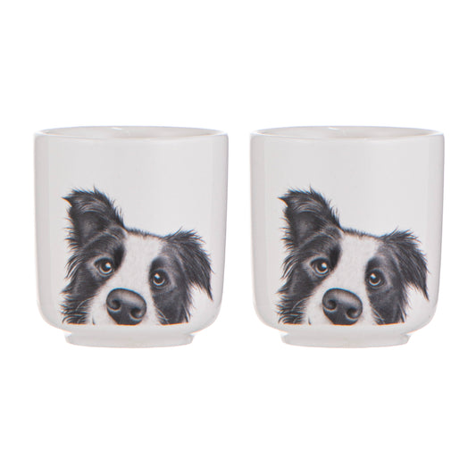 Ashdene Peeking Pups Border Collie Set of 2 Egg Cups