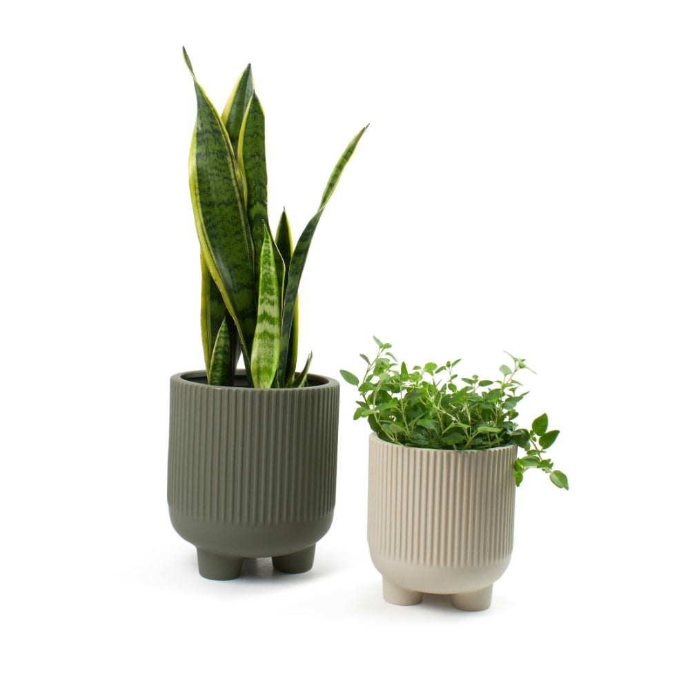 Salt & Pepper Maxen Planter 21 x 24cm
