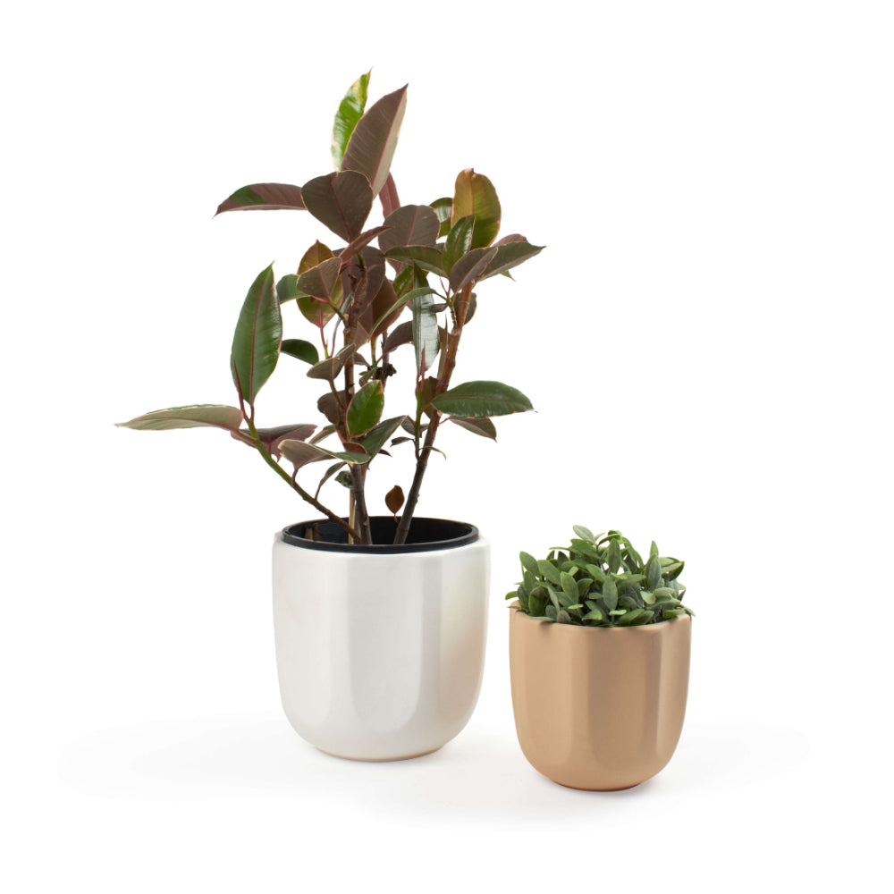 Salt & Pepper Zola Planter 17 x 16.5cm