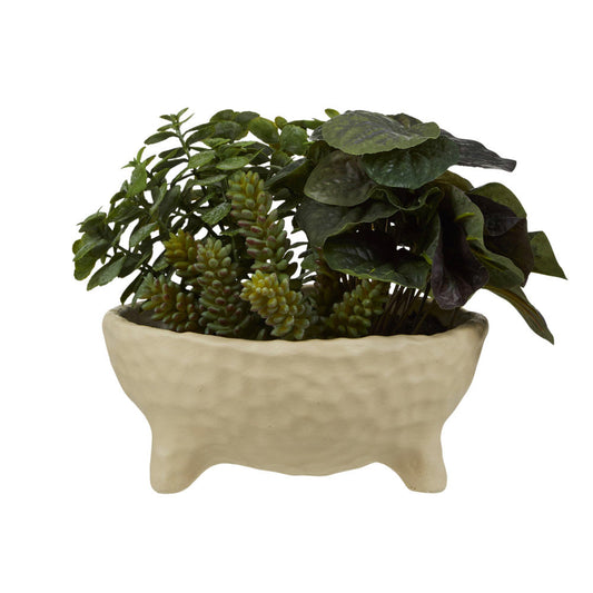 Rogue Peperomia Sedum Mix-Cement Footed Planter