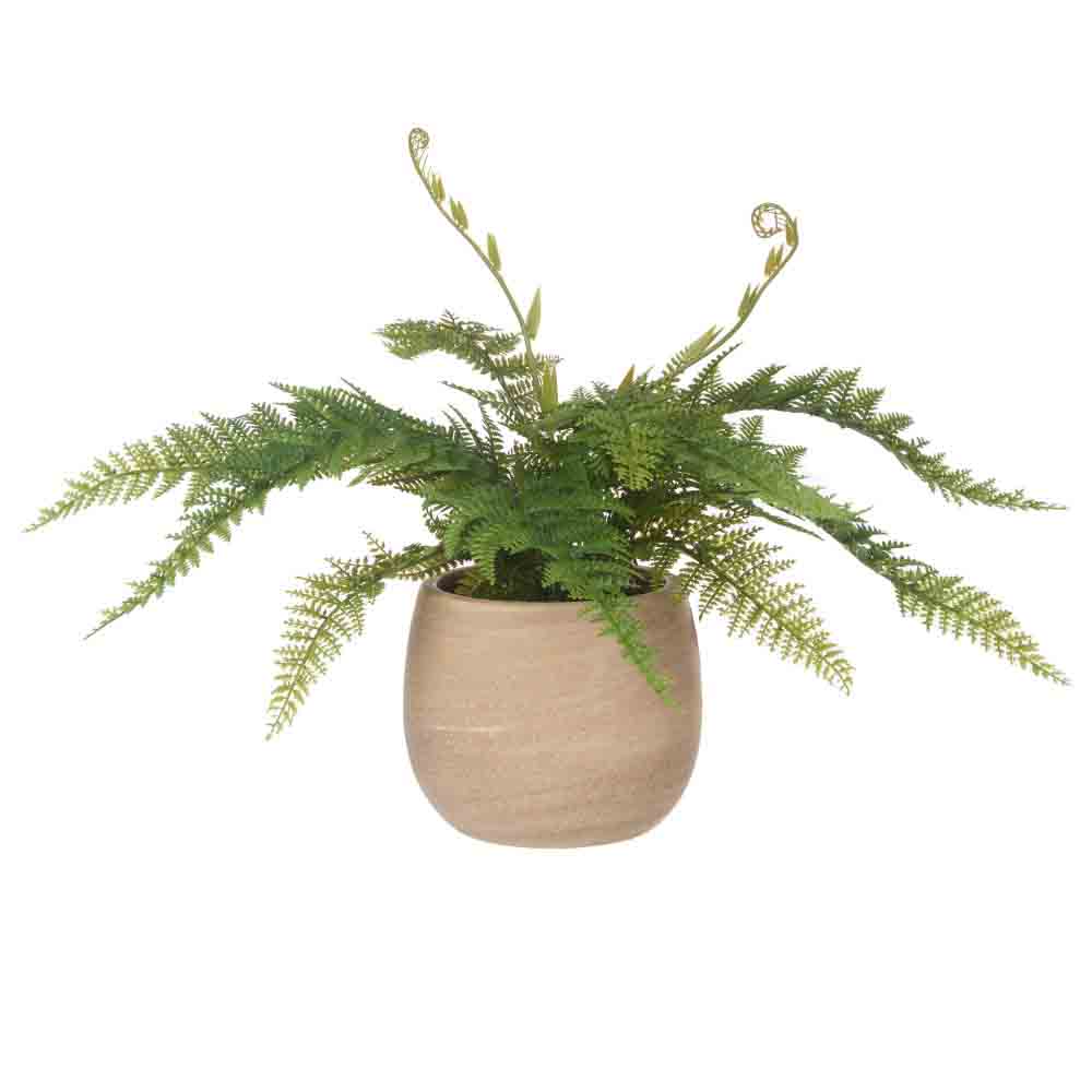 Rogue Bracken Fern-Tub Pot