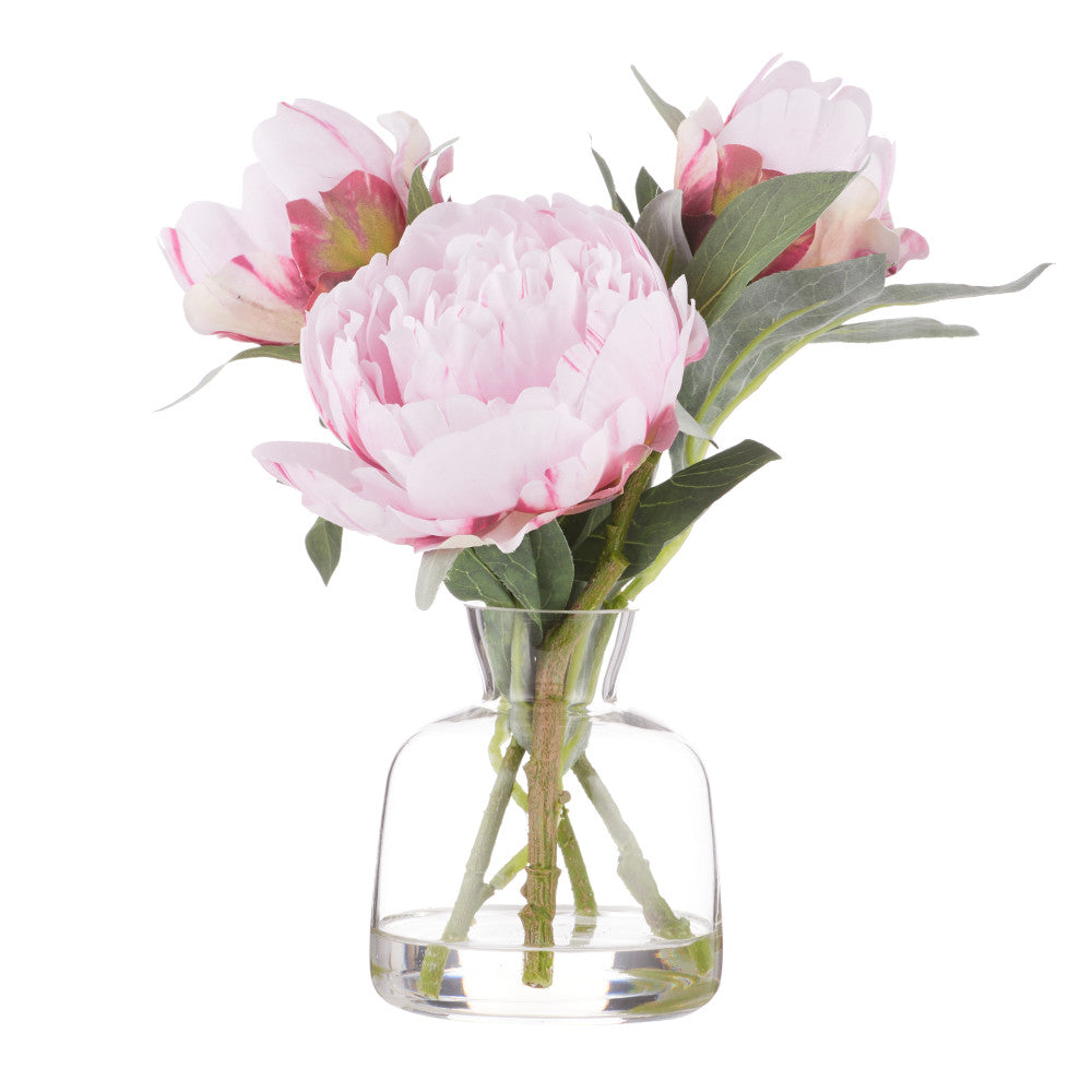 Rogue Peony Stem-Clear Glass Vase