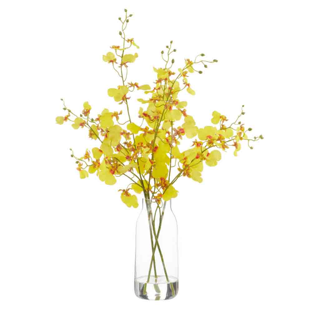 Rogue Dancing Orchid-Harper Vase