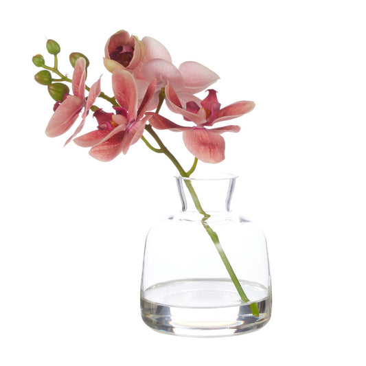 Rogue Orchid Stem-Clear Vase