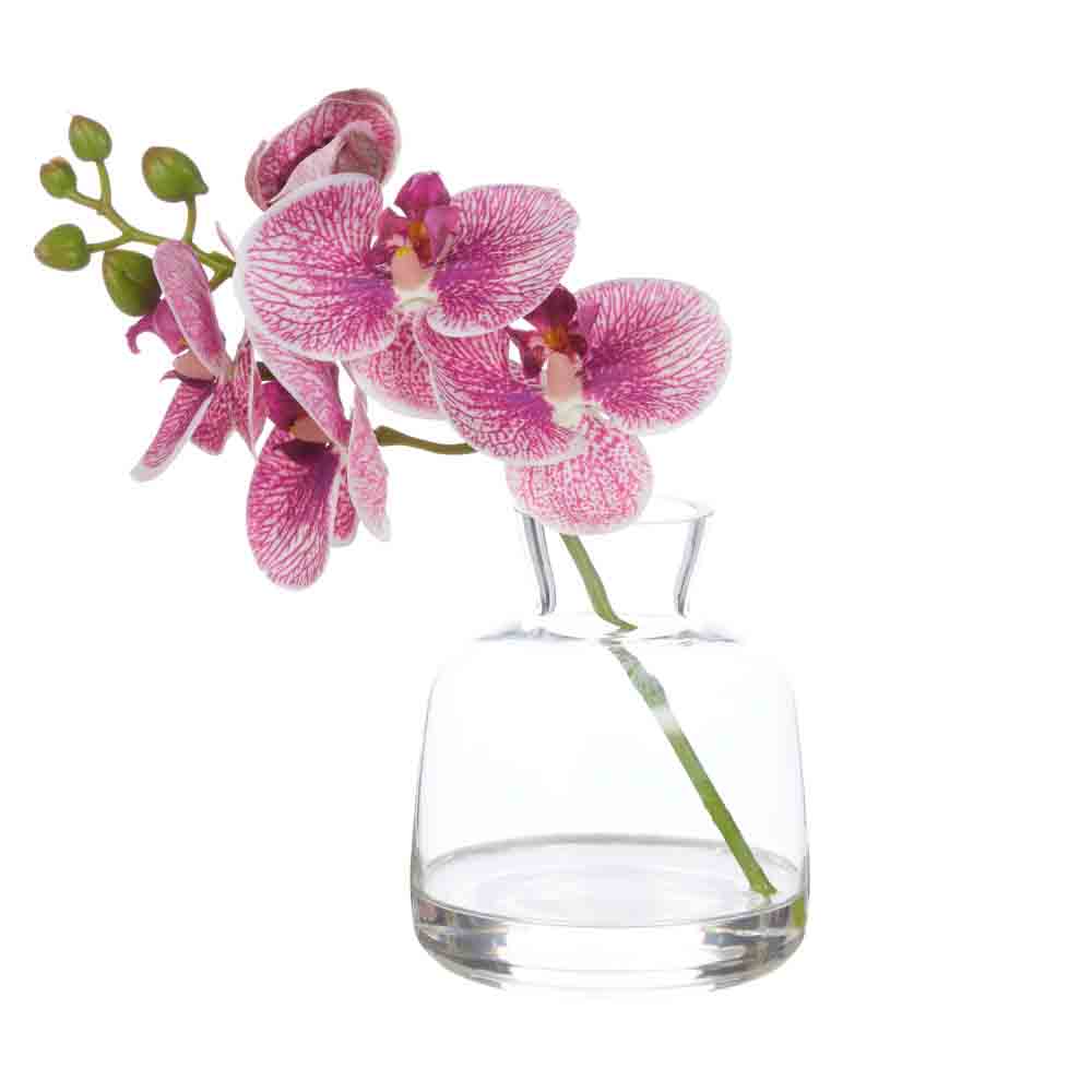 Rogue Orchid Stem-Clear Vase