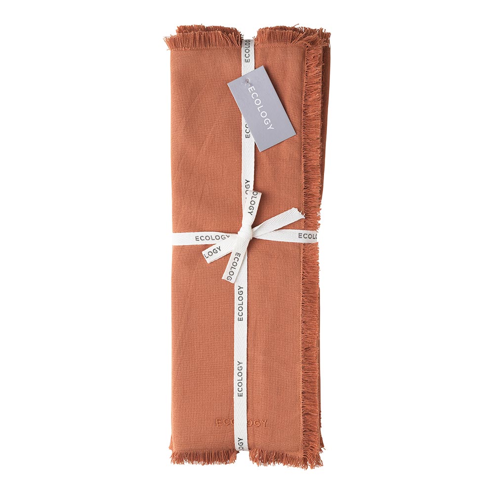 Ecology Fray Set of 4 Placemats