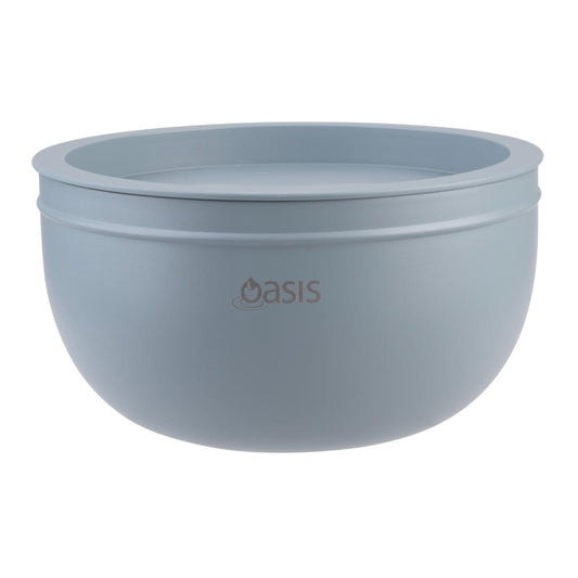 Oasis Stainless Steel Double Wall Salad Bowl with Lid 2.8L