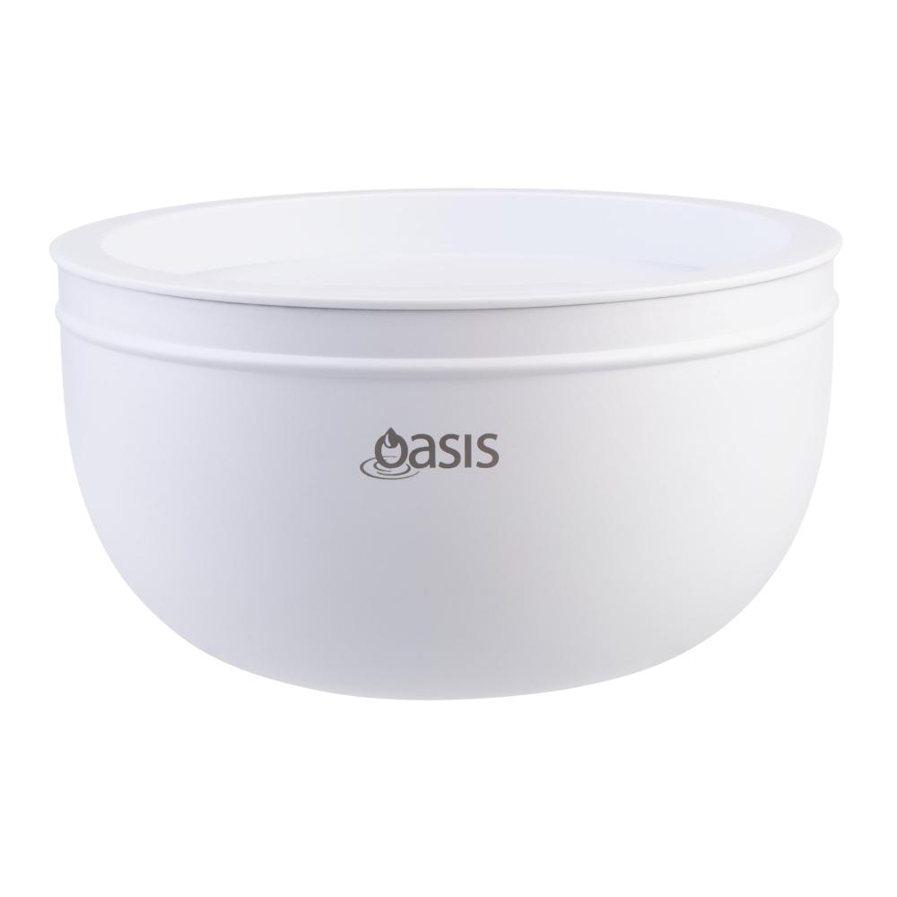 Oasis Stainless Steel Double Wall Salad Bowl with Lid 2.8L