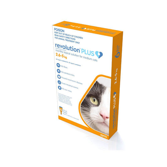 Revolution Plus for Cats 2.5 - 5kg  Medium Orange 6 Pack