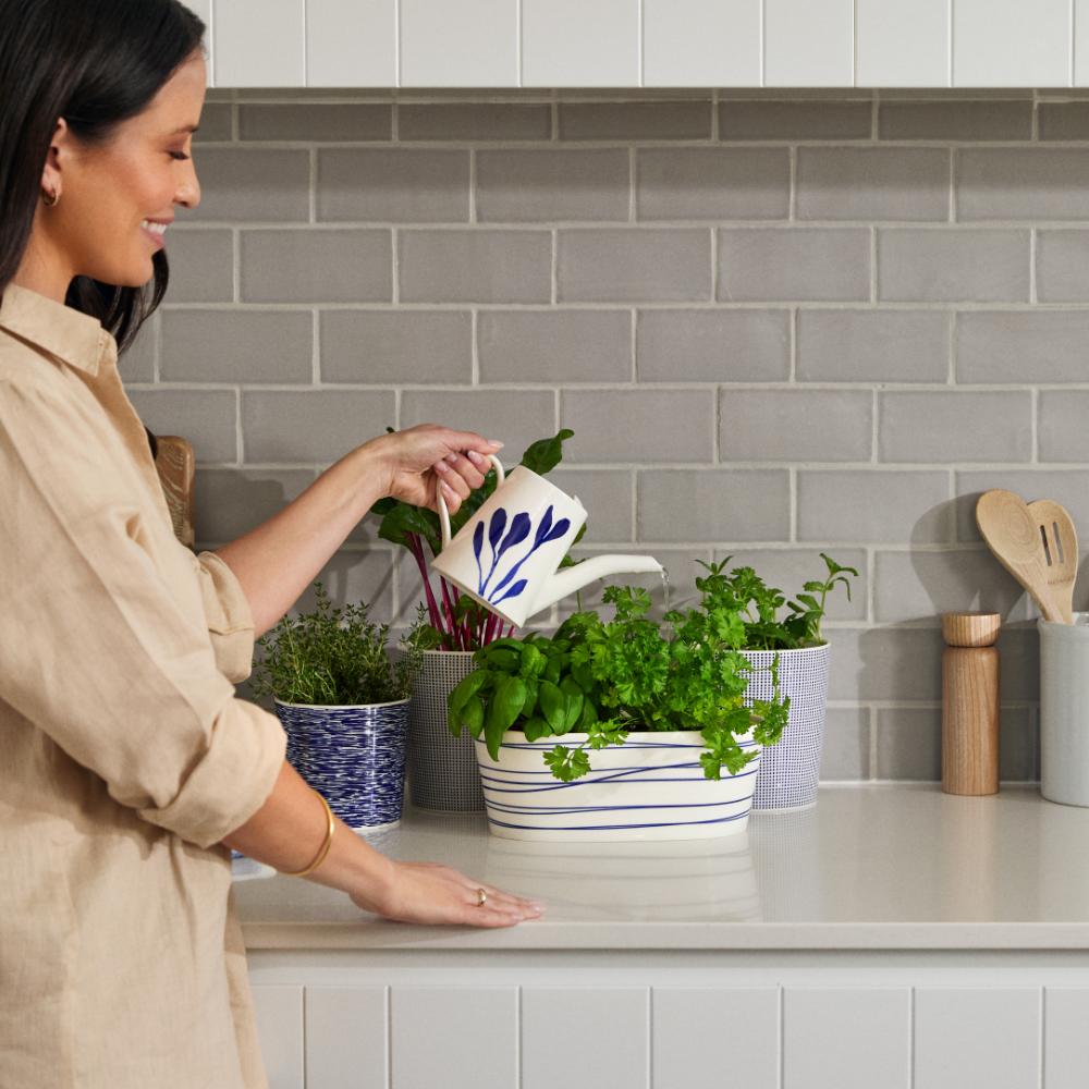 Royal Doulton Pacific Trough Herb Planter