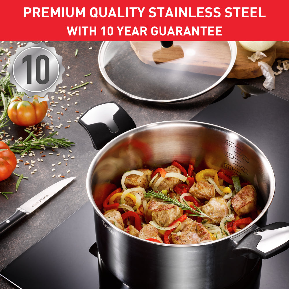 Tefal Emotion Induction Stainless Steel Stock Pot 6.2L