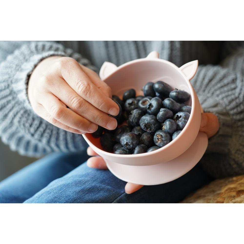 Unicorn Set Of 2 Silicone Suction Bowls - House