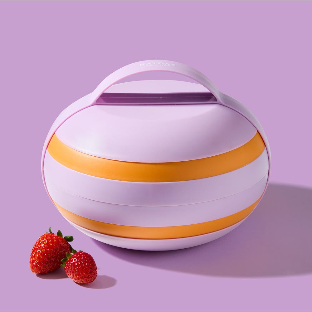 HAYDAE COLLECTIVE 17 Piece Outdoor Picnic Ball - House