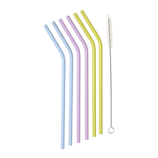 HAYDAE COLLECTIVE Set of 6 Reusable Straws