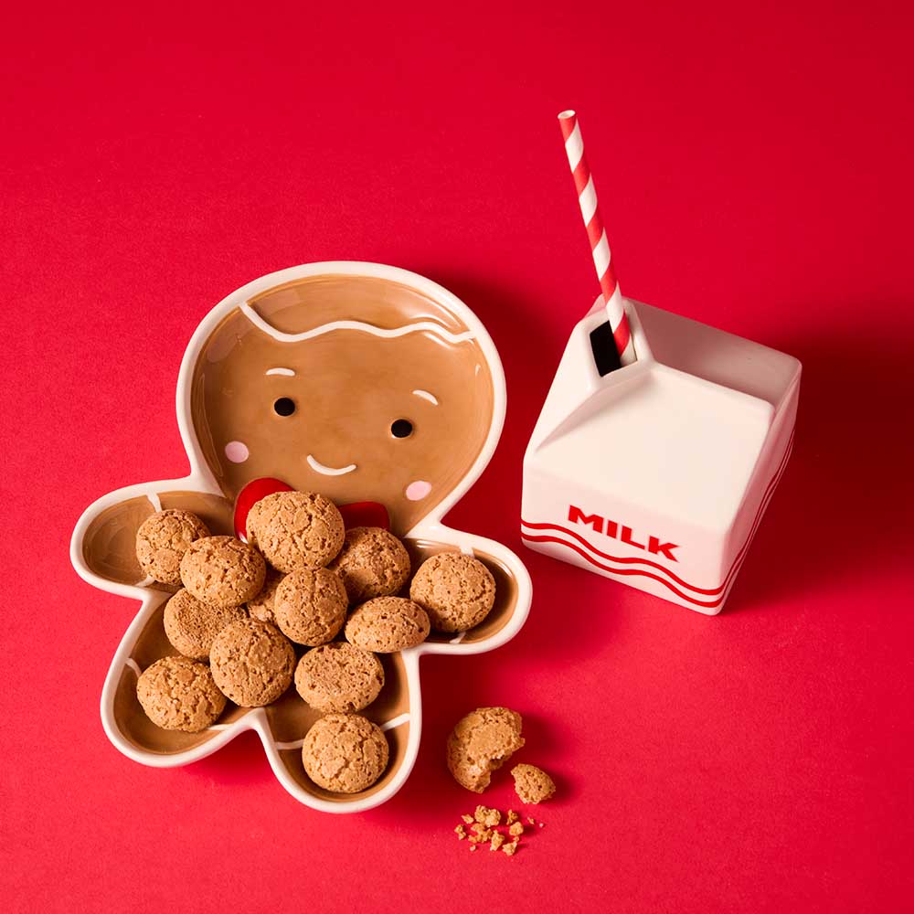 Night Before Christmas dish and jug Set