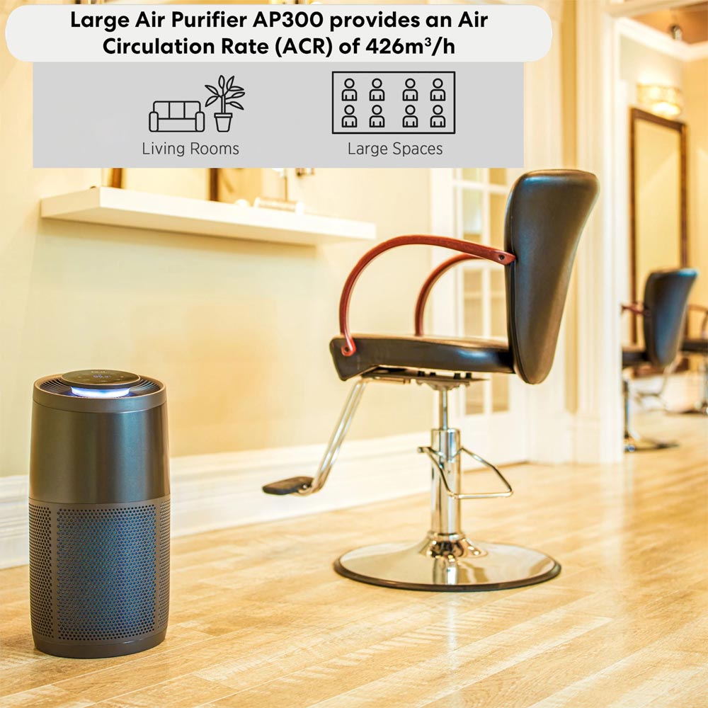 Instant Air Purifier AP300 Charcoal