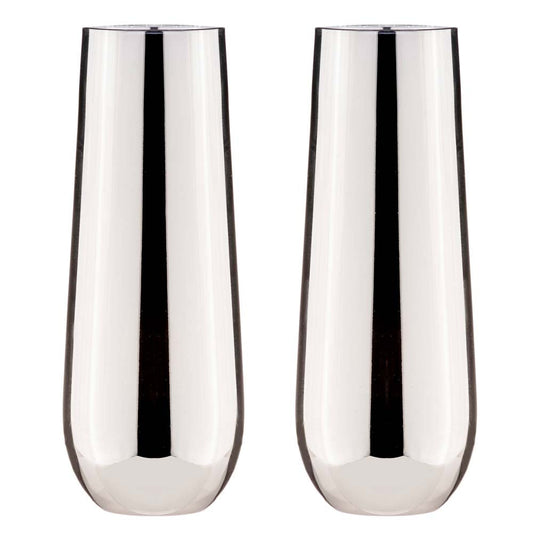 Tempa Aurora Set of 2 Stemless Champagne Glasses Silver