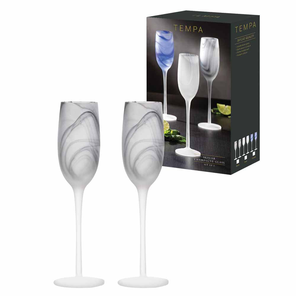 Tempa Skylar Set of 2 Champagne Glasses