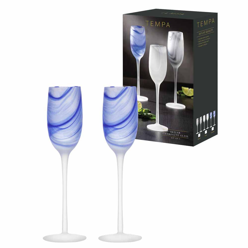 Tempa Skylar Set of 2 Champagne Glasses