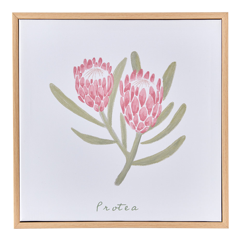 MyHouse Mimi Wall Art Protea