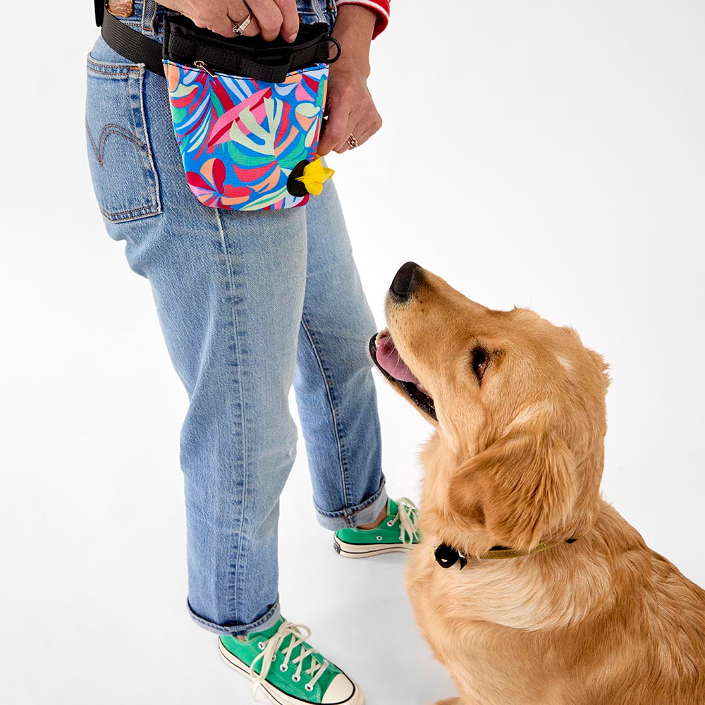 MyHouse Calypso Dog Walking Bag