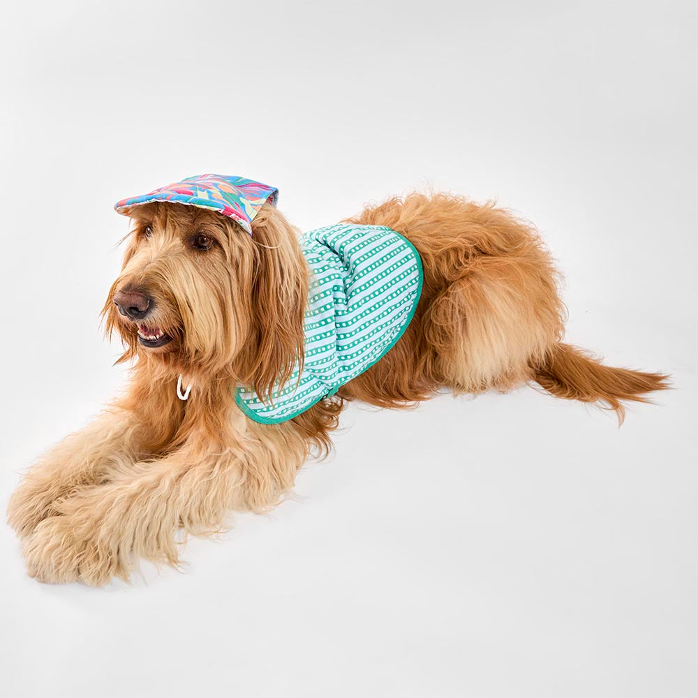 MyHouse Calypso Pet Cap Hat