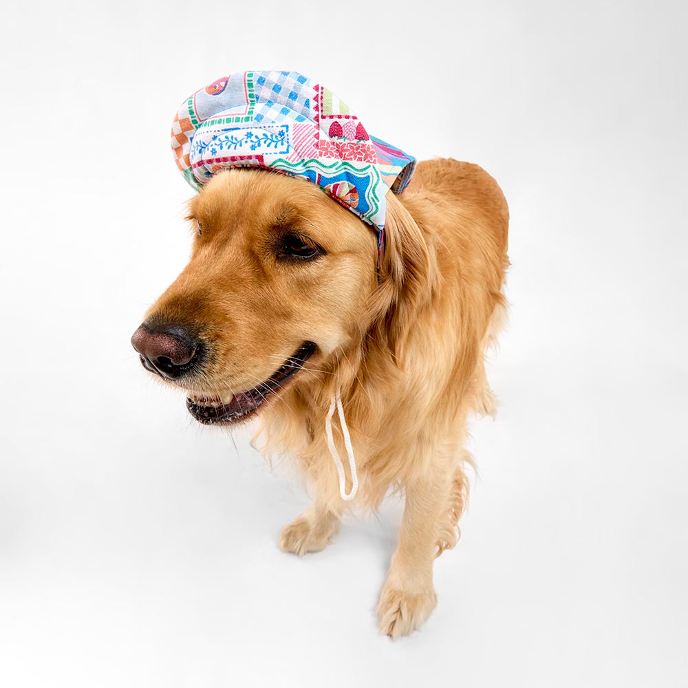 MyHouse Calypso Pet Cap Hat
