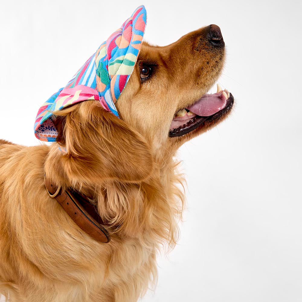 MyHouse Calypso Pet Cap Hat