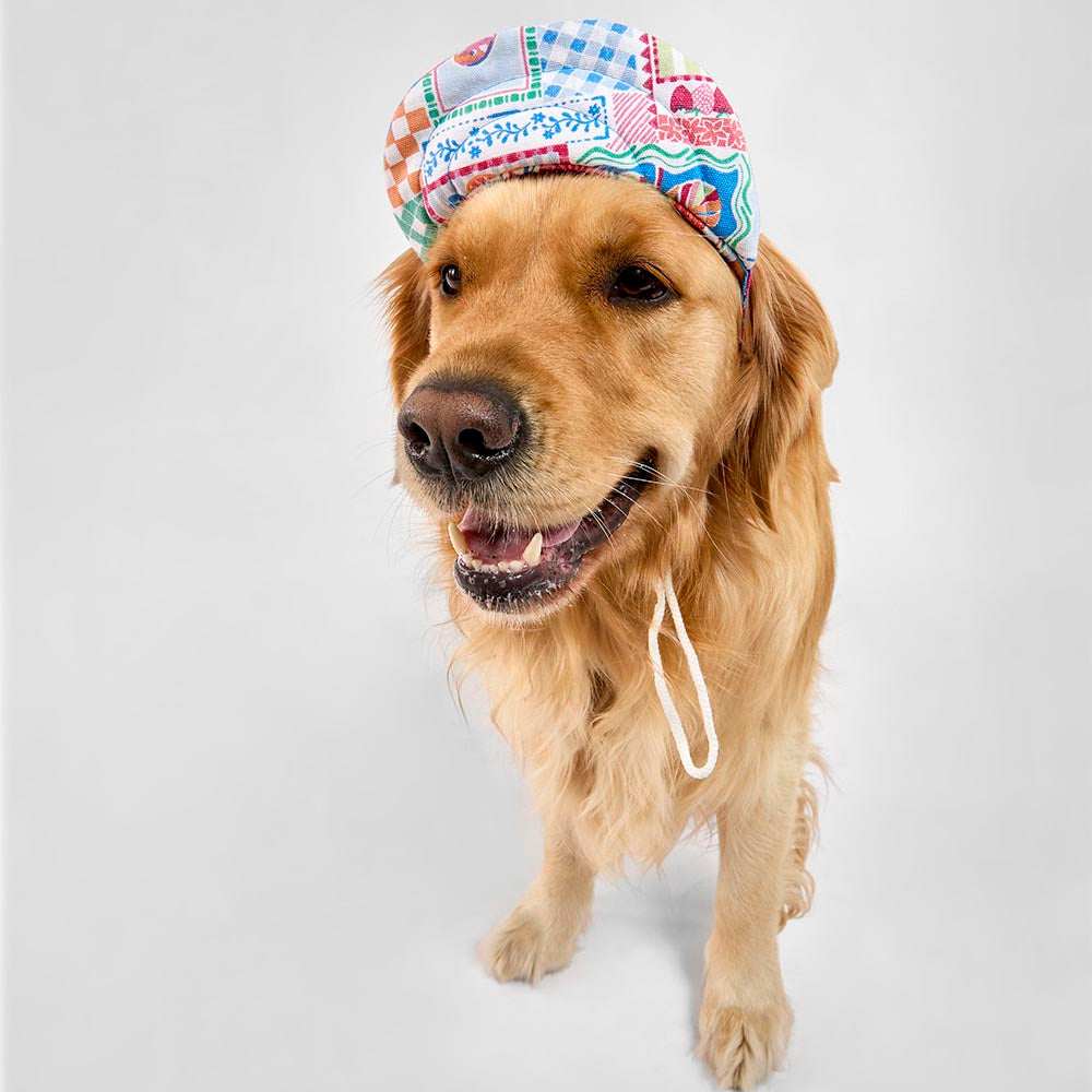 MyHouse Calypso Pet Cap Hat