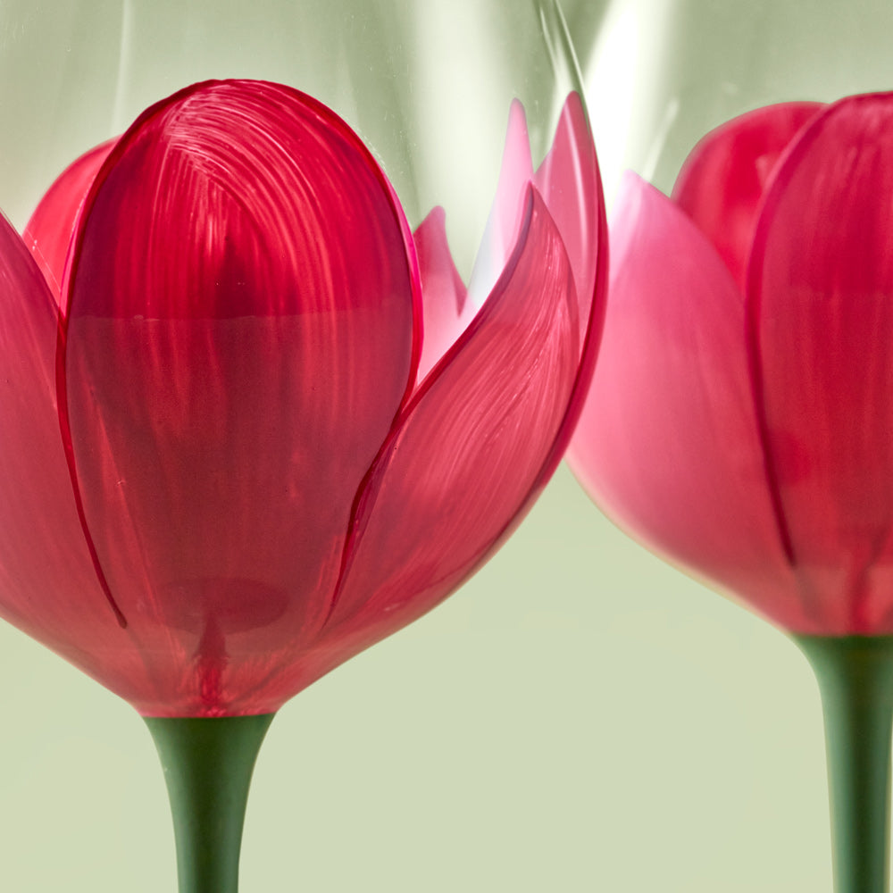 Fleur & Field Set Of 2 Wine Glasses