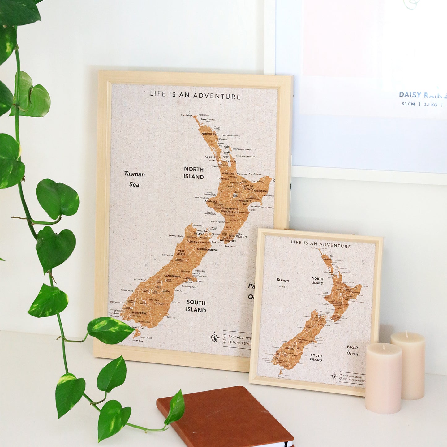 Splosh Travel Board New Zealand Small Map