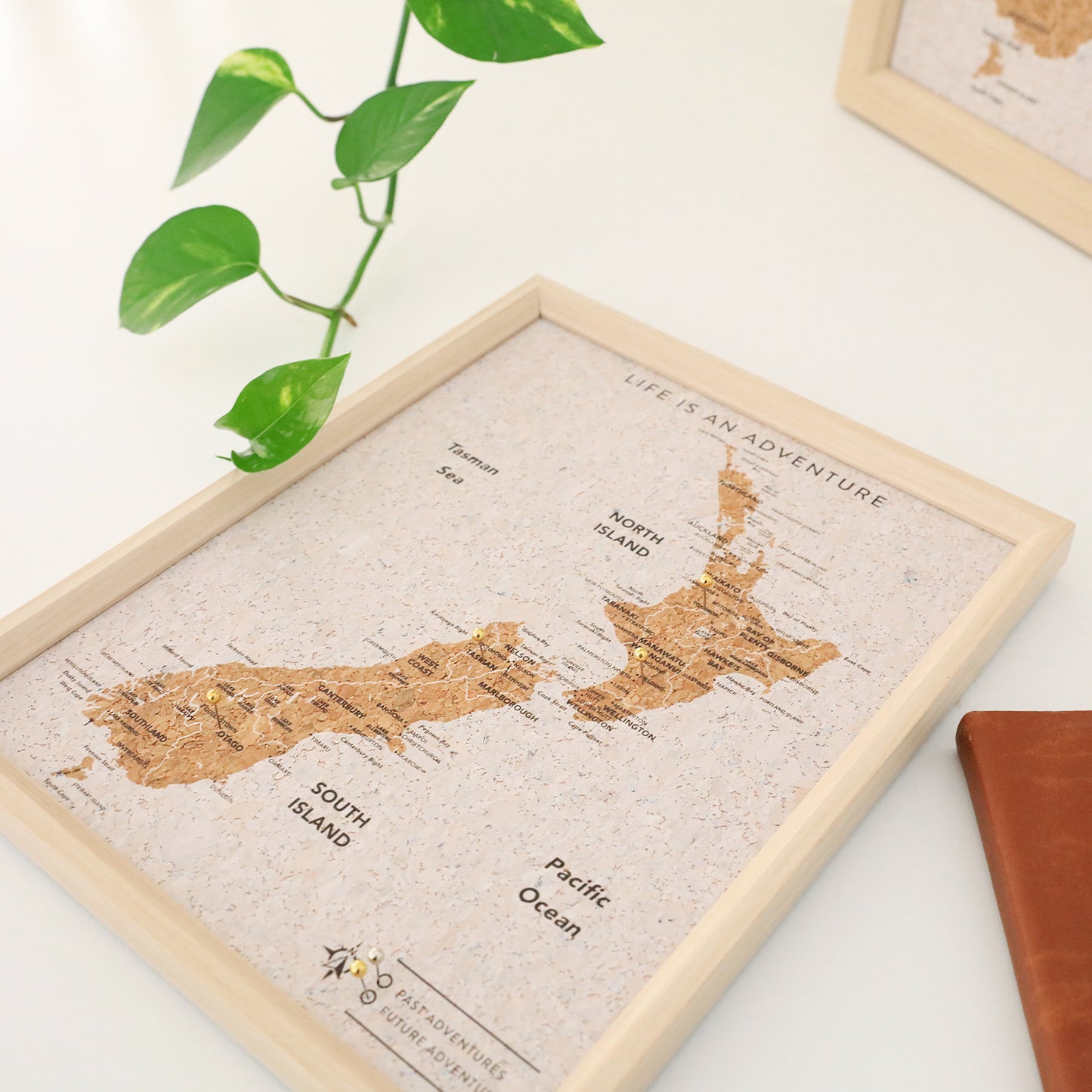 Splosh Travel Board New Zealand Small Map