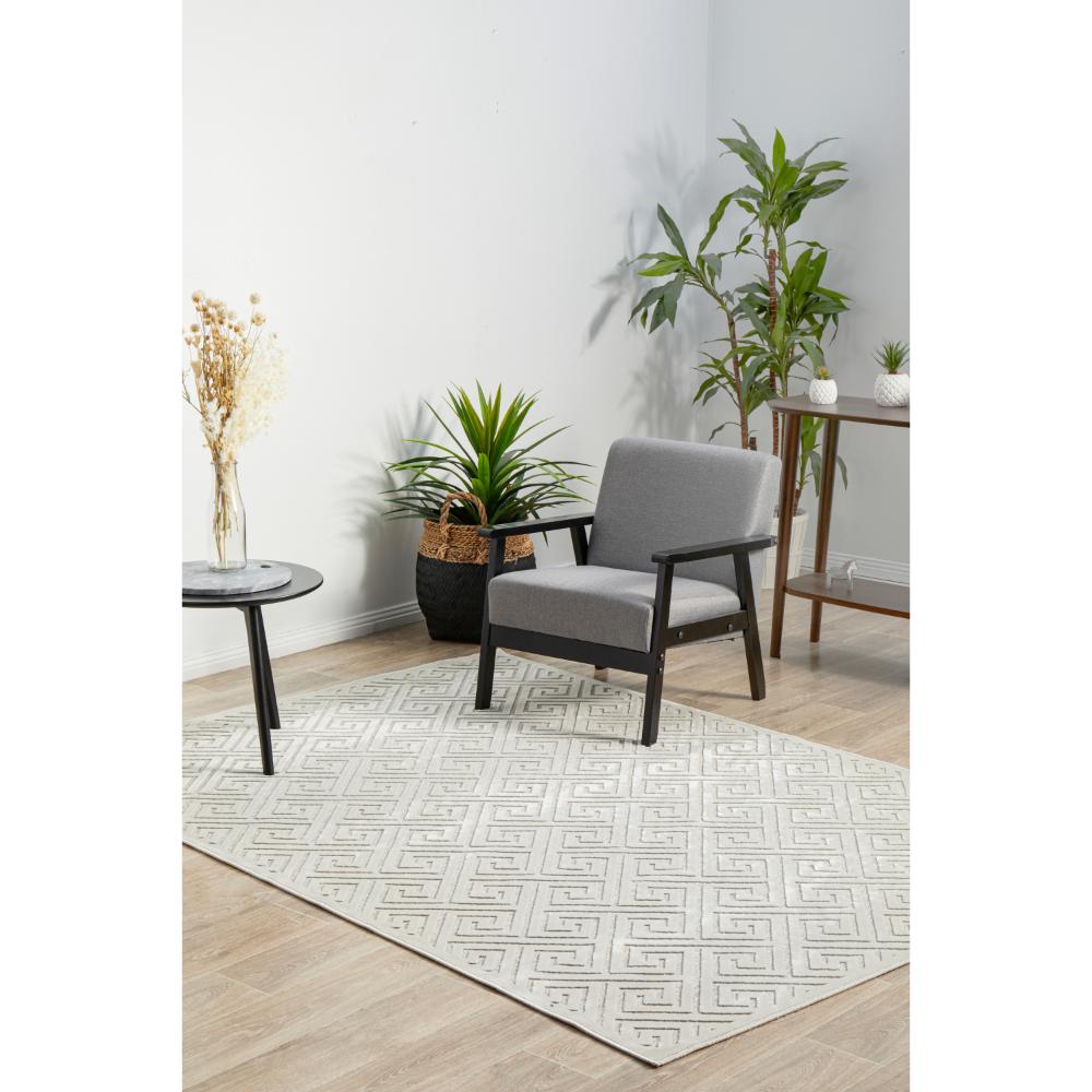 beige geometric swirl rug in a sitting room with plants - House