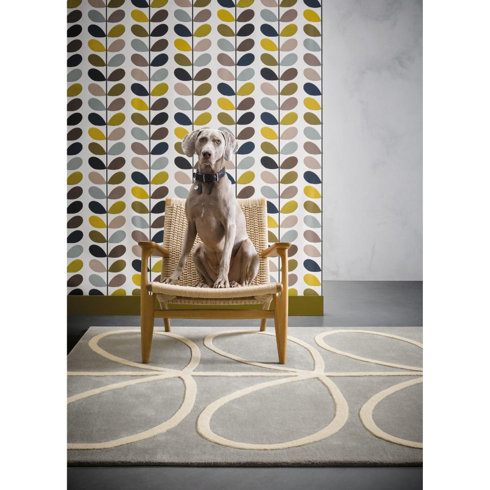 grey and white flower rug with a dog posing in a chair - House