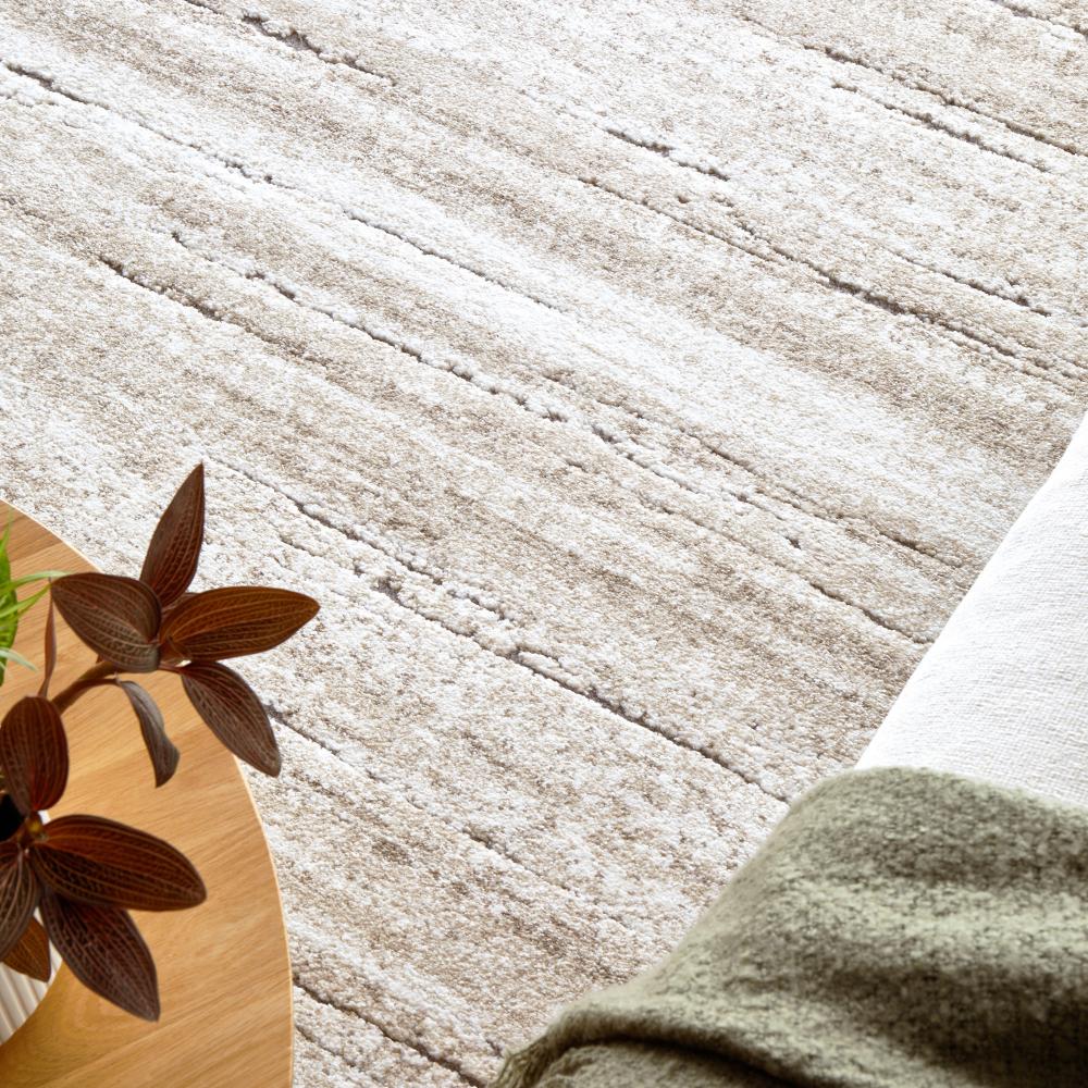 Rug Culture Formation 77 Rug