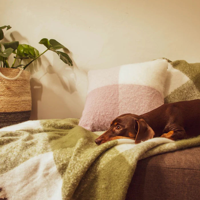 Lorraine Lea Penelope Cushion Cover Lavender