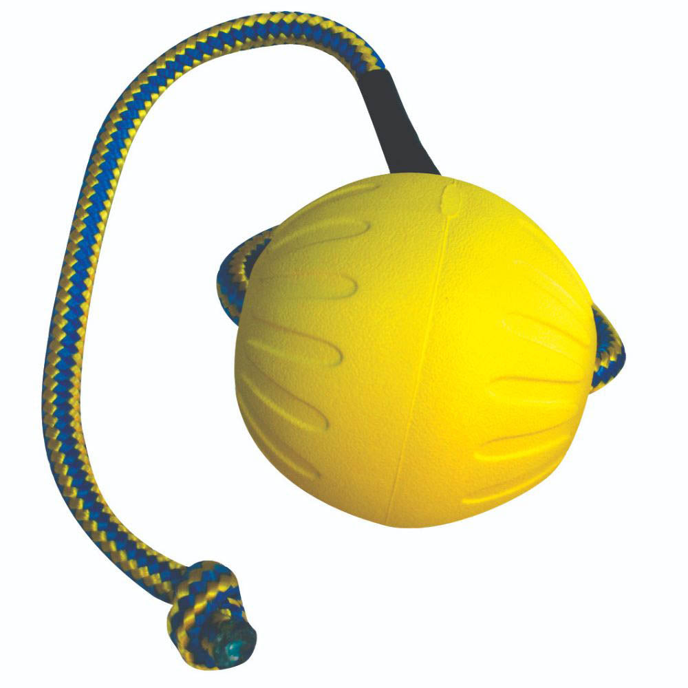 Starmark Swing & Fling Fetch Ball Dog Toy